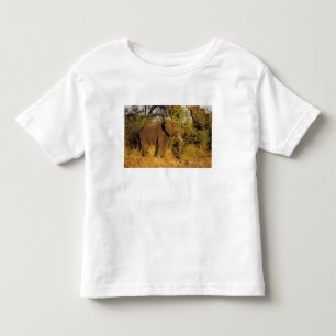 Africa, Zimbabwe, Victoria Falls National Park. Toddler T-Shirt