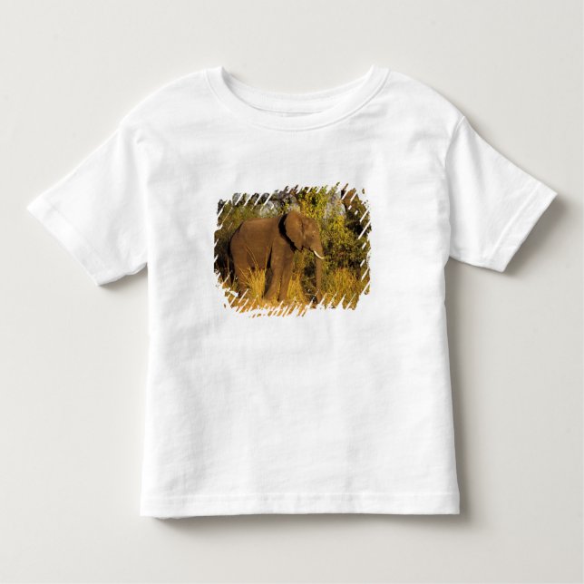 Africa, Zimbabwe, Victoria Falls National Park. Toddler T-Shirt (Front)