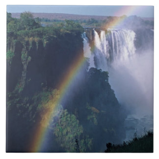Africa, Zimbabwe. Victoria Falls Tile
