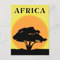 African Acacia Tree Against an Orange Sunset