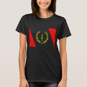 African American Heritage Flag 1967 Black History T-Shirt