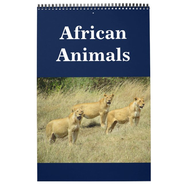 african animalia calendar (Cover)