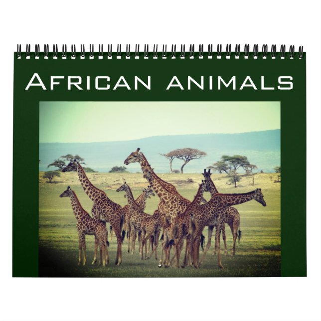 african animals 2027 calendar (Cover)