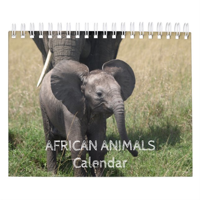 African Animals Calendar (Cover)