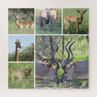 african animals jigsaw puzzle