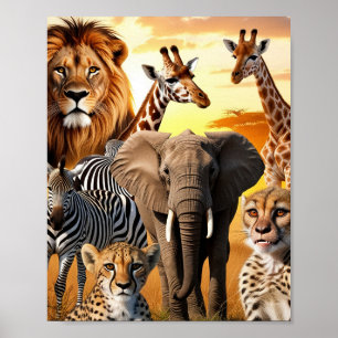 African animals  poster