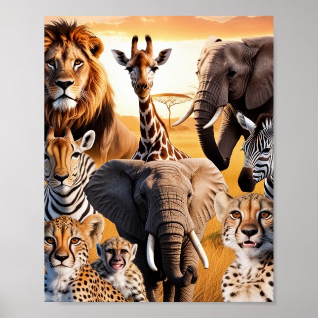 African animals poster (Front)