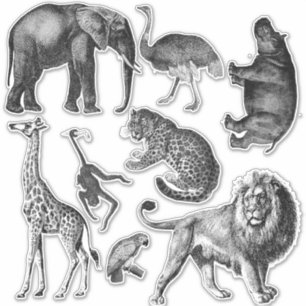 African Animals Set