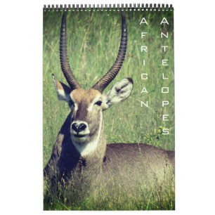 african antelope safari 2027 calendar