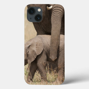 African Baby Elephant with Mother iPhone 13 Case