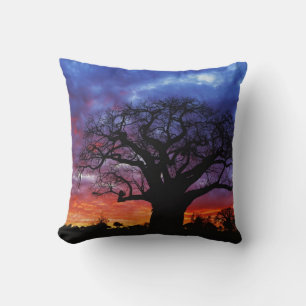 African baobab tree, Adansonia digitata, 2 Cushion