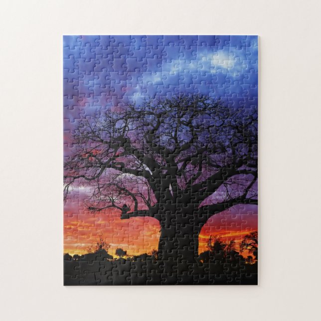 African baobab tree, Adansonia digitata 2 Jigsaw Puzzle (Vertical)