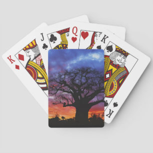 African baobab tree, Adansonia digitata, 2 Playing Cards