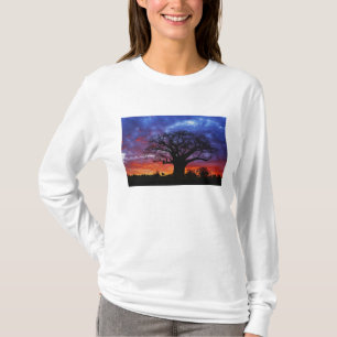African baobab tree, Adansonia digitata, 2 T-Shirt
