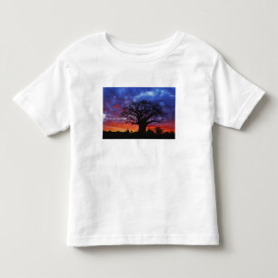 African baobab tree, Adansonia digitata, 2 Toddler T-Shirt