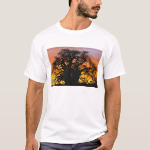 African baobab tree, Adansonia digitata, T-Shirt