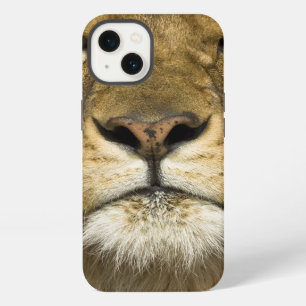 African Barbary Lion, Panthera leo leo, one of iPhone 13 Case