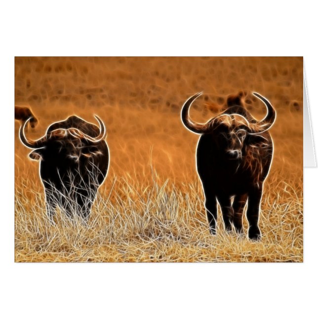 African Buffalo (Front Horizontal)