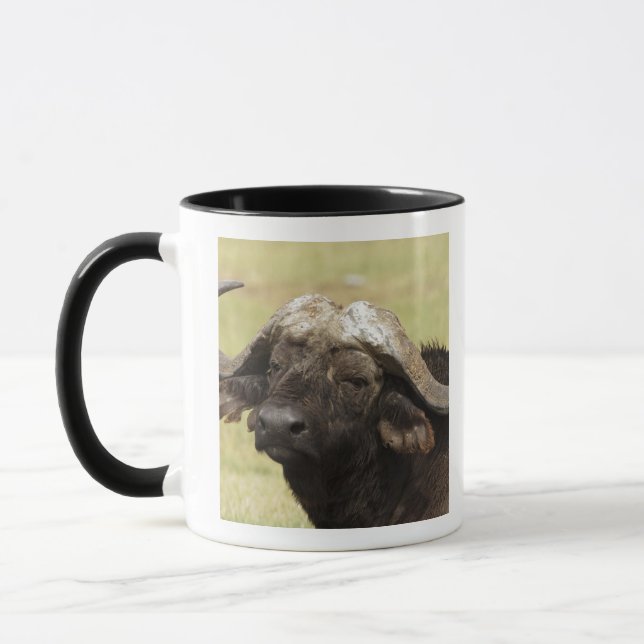 African Buffalo, Syncerus caffer Mug (Left)