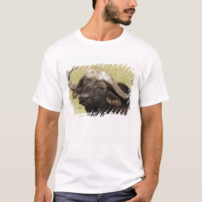 African Buffalo, Syncerus caffer T-Shirt (Front)