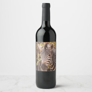 African Burchell's zebra with stripes in bushveld Wine Label