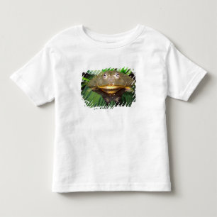 African Burrowing Bullfrog, Pyxicephalus 2 Toddler T-Shirt