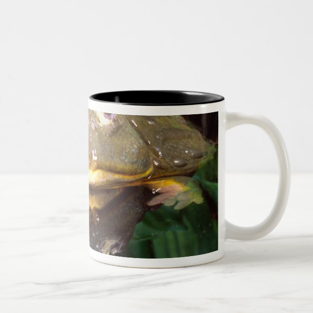 African Burrowing Bullfrog, Pyxicephalus 2 Two-Tone Coffee Mug (Right)