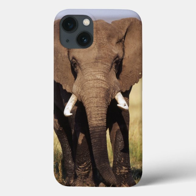 African Bush Elephant Case-Mate iPhone Case (Back)