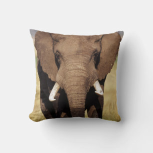 African Bush Elephant Cushion
