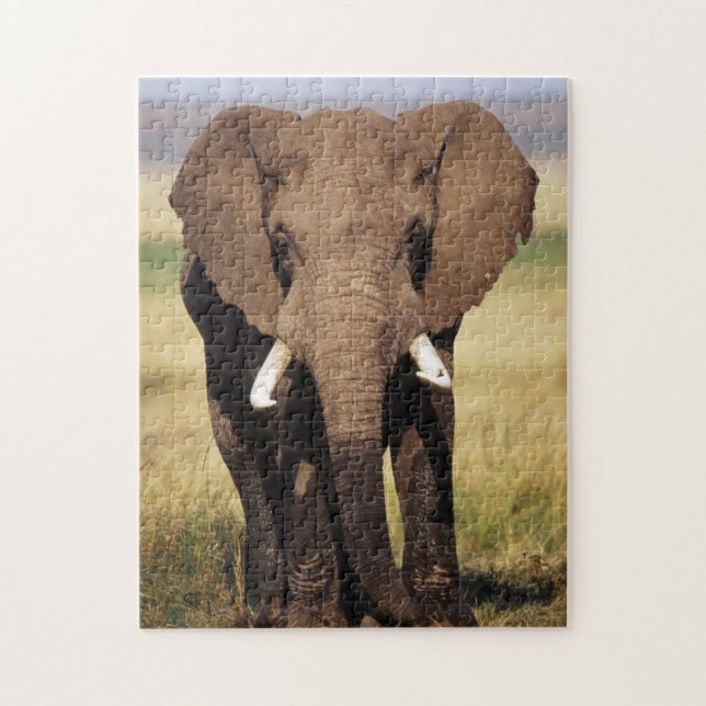 African Bush Elephant Jigsaw Puzzle (Vertical)