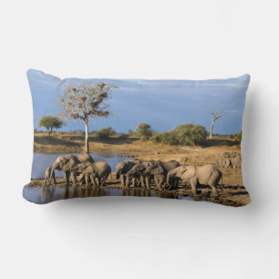 African Bush Elephant (Loxodonta Africana) Herd Lumbar Cushion