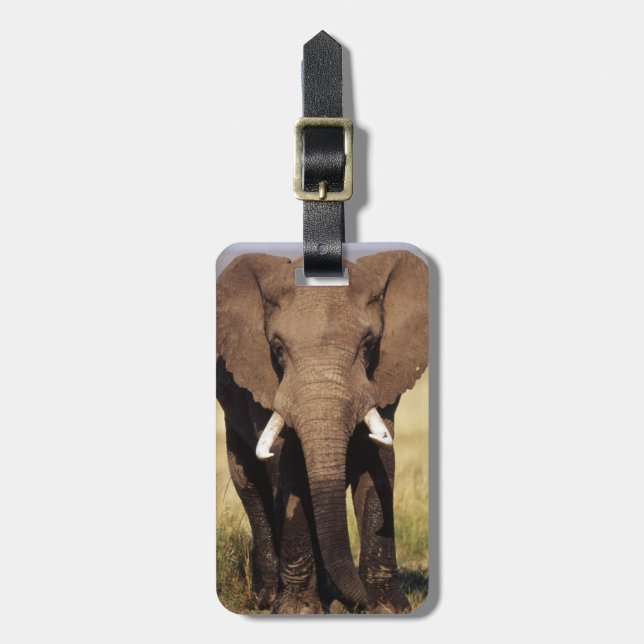 African Bush Elephant Luggage Tag (Front Vertical)