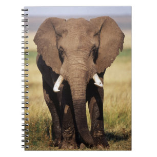African Bush Elephant Spiral Notebook
