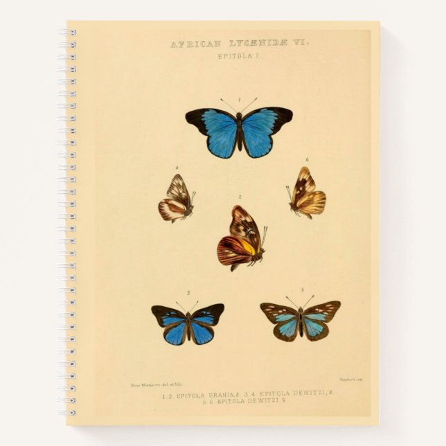 African Butterfly Hardcover Spiral Sketchbook Notebook (Front)