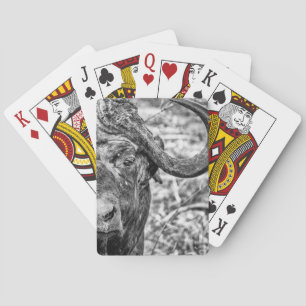African Cape Buffalo Portrait Playing Cards