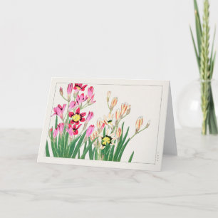 African corn lily by Tanigami Konan Card