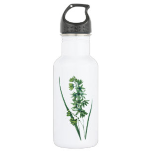 African corn lily(Ixia viridiflora) by Redouté 532 Ml Water Bottle