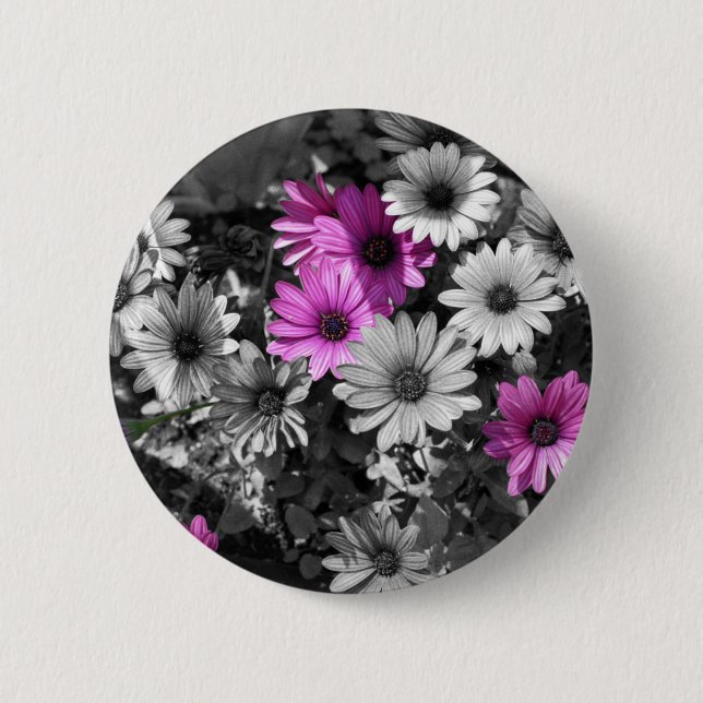 African Daisies BW Floral Button (Front)