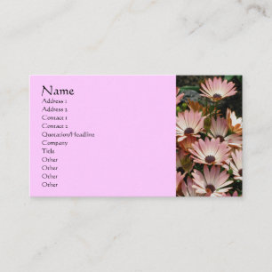 African Daisies Flower Photography Business Card