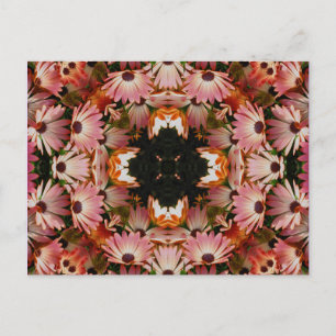 African Daisies Kaleidoscope Flower Postcard