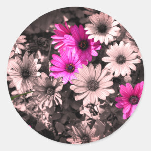 African Daisies Partial Colour Classic Round Sticker