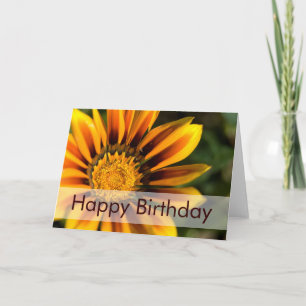 African Daisy ・ Birthday Card