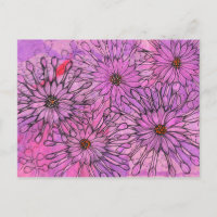 African Daisy Cape Daisies Pink Flowers Floral Art
