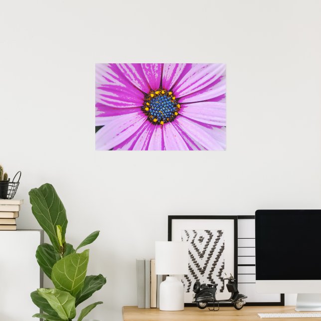 African Daisy Close Up Poster Art (Home Office)
