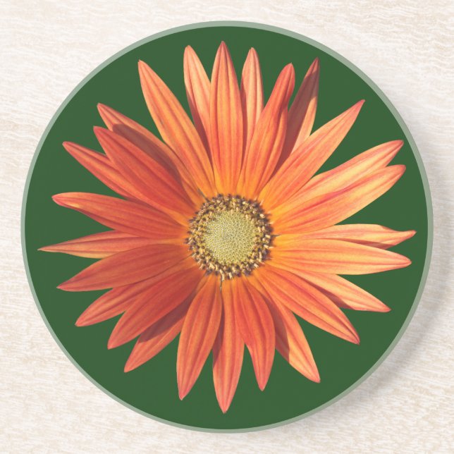 African Daisy Coaster (Front)