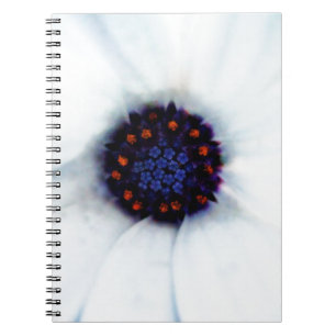 African Daisy Flower Notebook