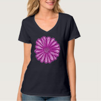 African Daisy Flower, Realistic Illustration