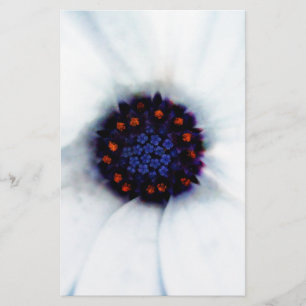 African Daisy Flower Stationery