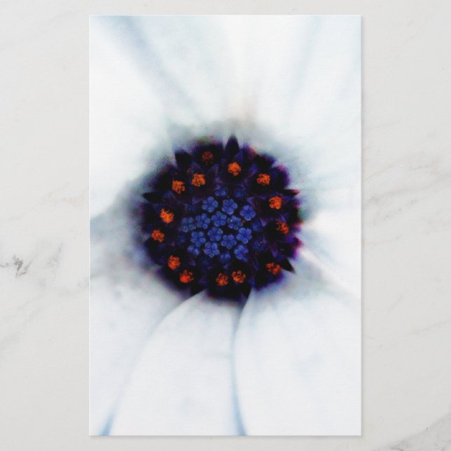 African Daisy Flower Stationery (Front)