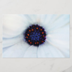 African Daisy Flower Stationery